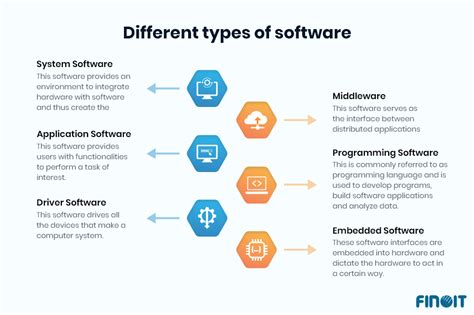 What are the two main categories of software? And why do they sometimes feel like they're from different planets?